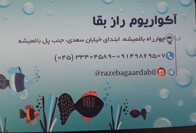 آکواریوم راز بقا اردبیل