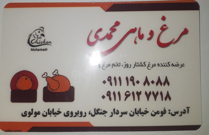مرغ ماهی محمدی فومن