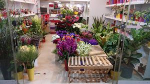 گل فروشی تنکابن گل فروشی شهسوار