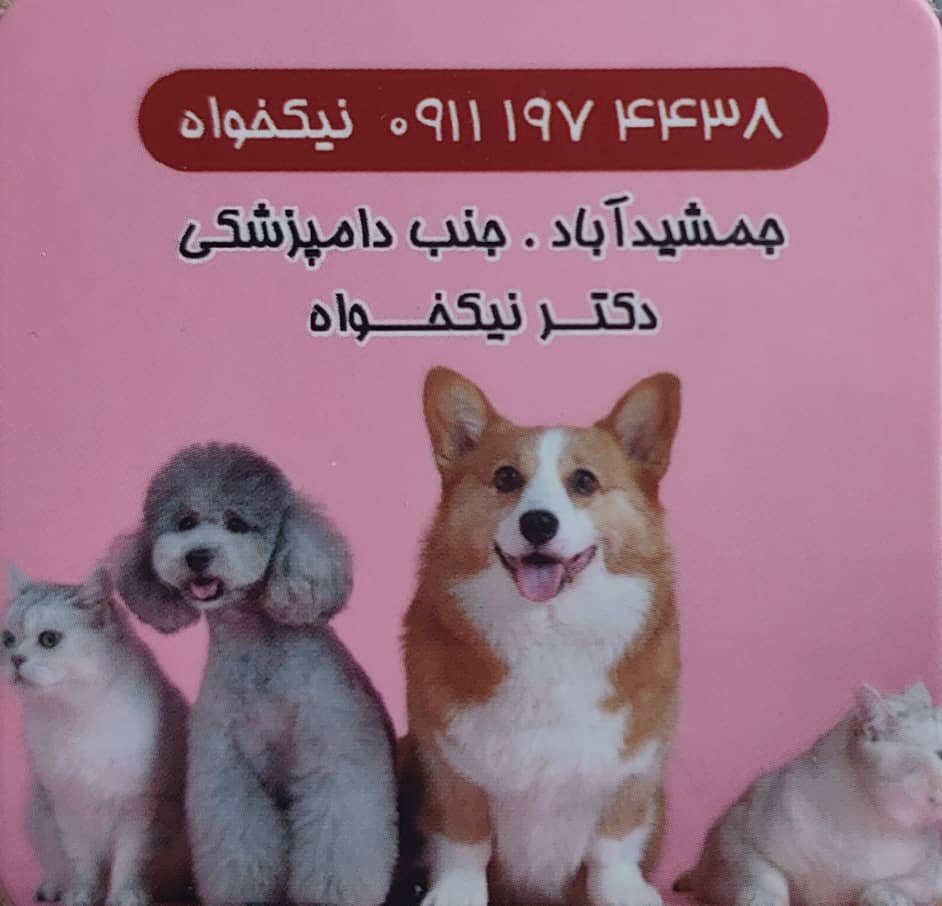 پت شاپ شهسوار پت شاپ تنکابن