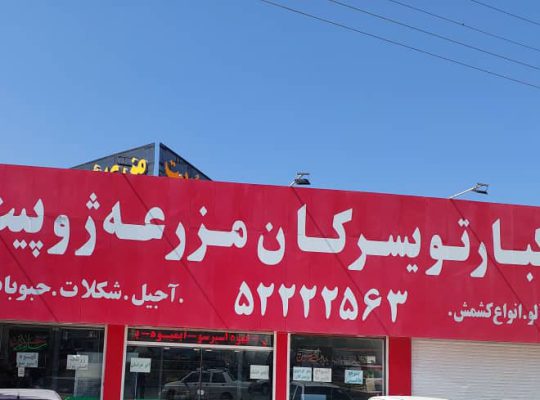 آجیل خشکبار چالوس تخمه چالوس