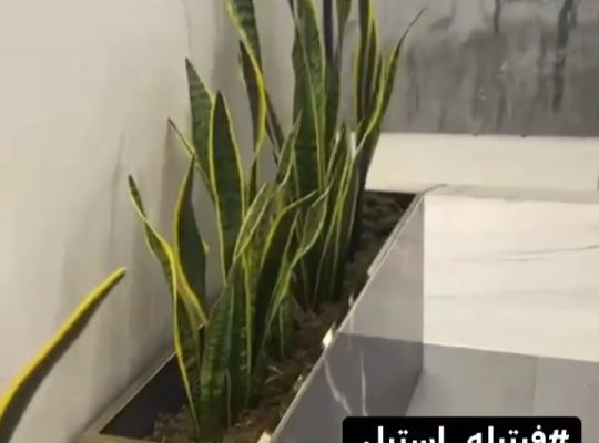 کاشی سرامیک نوشهر فرجی