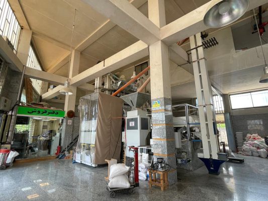 فروش مستقیم برنج رودسر و شلمان | بازرگانی برنج حاج اسماعیل مشعوف و پسر