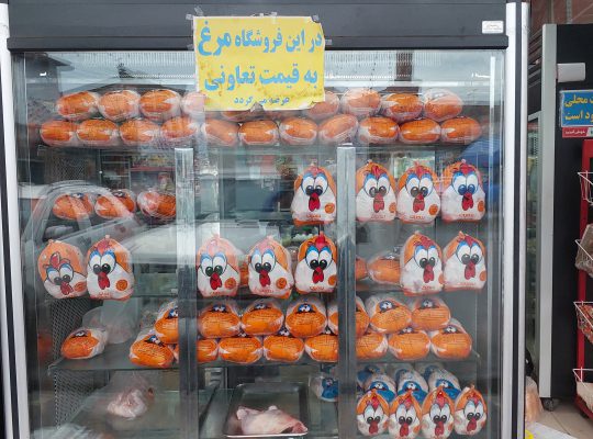 پروتئینی کلاچای پروتئین کلاچای