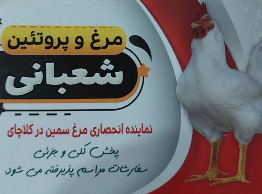 پروتئینی کلاچای پروتئین کلاچای