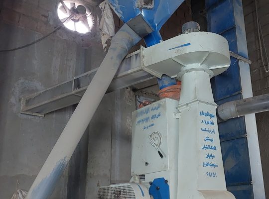 برنج لنگرود برنج هاشمی لنگرود