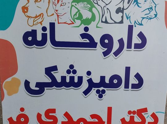 پت شاپ لنگرود
