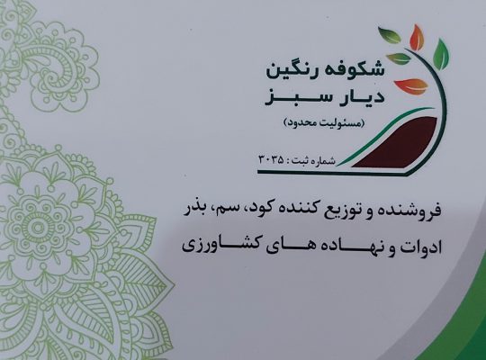شکوفه رنگین دیار سبز چالوس