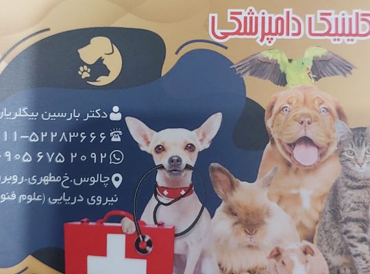 کلینیک دامپزشکی دکتر بیگلریان چالوس
