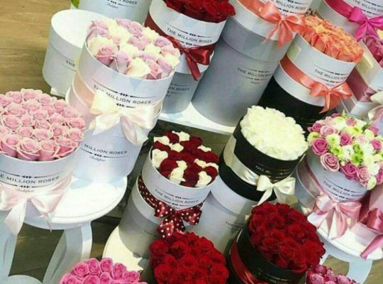 گل فروشی لنگرود گلخانه لنگرود