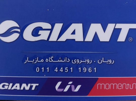 فروشگاه جاینت رویان