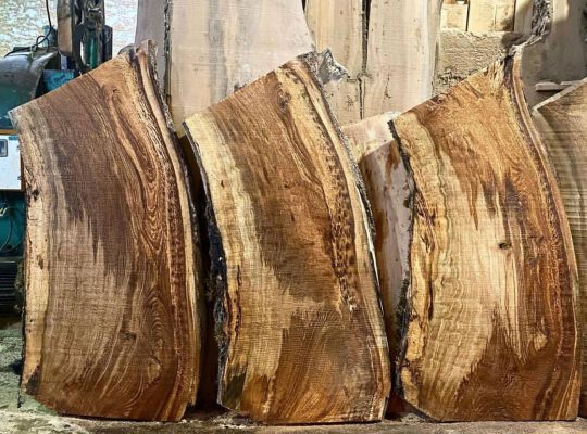 چوب بری کردمنجیری نوشهر