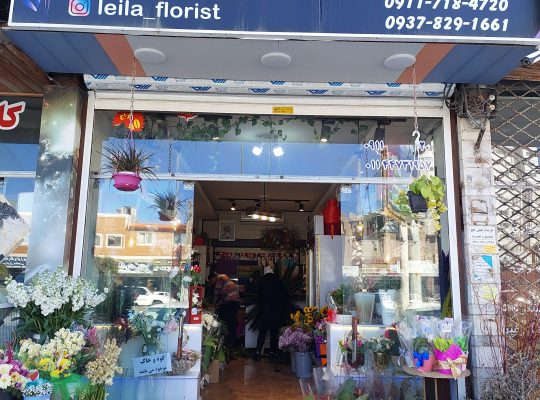 گل فروشی در محمودآباد گل‌فروشی در نور