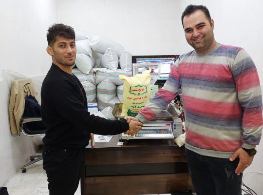 برنج چای شمس محمودآباد