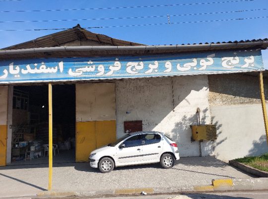 برنج در محمودآباد کارخانه برنجکوبی در محمودآباد