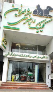 کلینیک دامپزشکی آمل