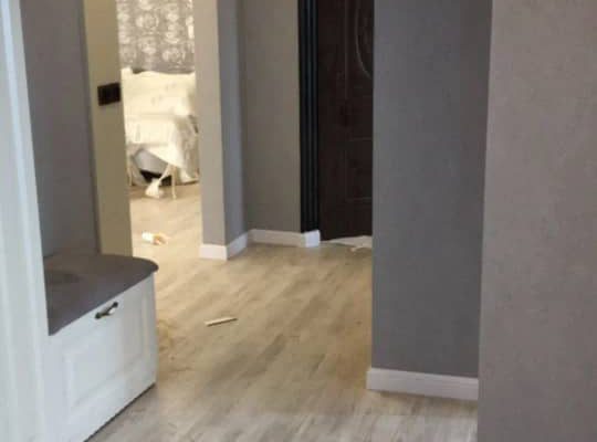 کاغذ دیواری آمل پوستر دیواری آمل