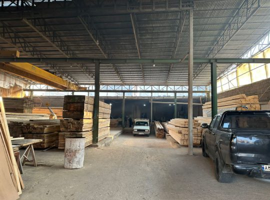 چوب فروشی مازندران