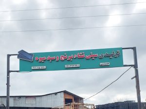 سینی نشا مازندران سبد میوه مازندران