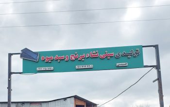 سینی نشا مازندران سبد میوه مازندران