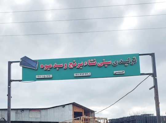 سینی نشا مازندران سبد میوه مازندران