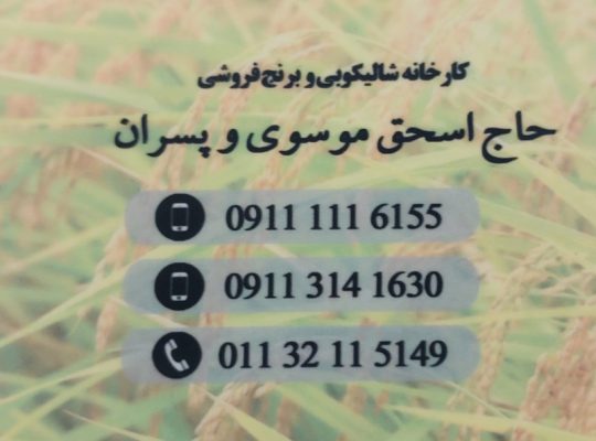 برنج در بابل برنج فروشی بابل