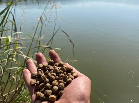 خوراک آبزیان دام طیور مازندران