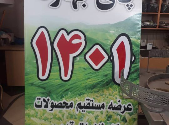 چای لاهیجان چای گیلان