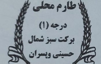 برنج بابل سورتینگ بسته بندی برنج بابل