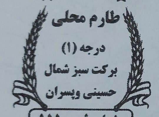 برنج بابل سورتینگ بسته بندی برنج بابل