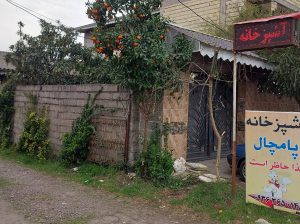 آشپزخانه زیباکنار تهیه غذا زیباکنار