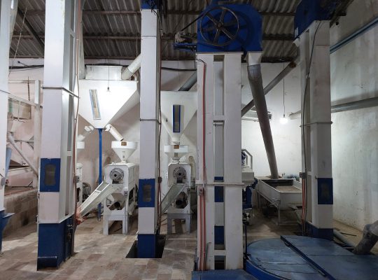 کارخانه تولید برنج زیباکنار برنج زیباکنار