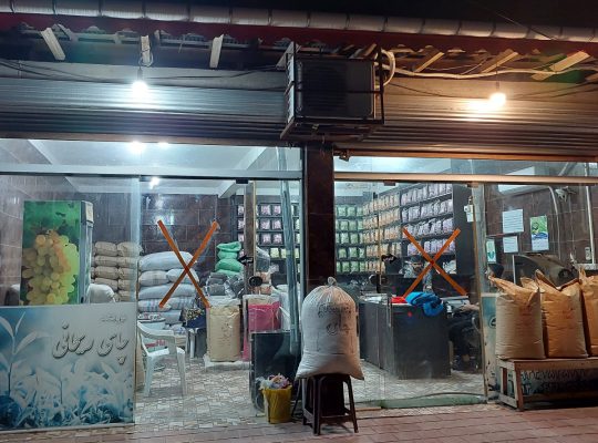 چای لاهیجان چای فروشی لاهیجان