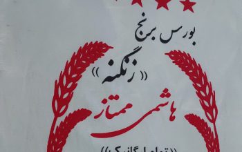 تولیدی کیسه برنج در مازندران