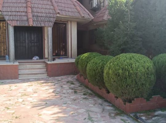 گل گیاه سرخ رود گل فروشی سرخ رود
