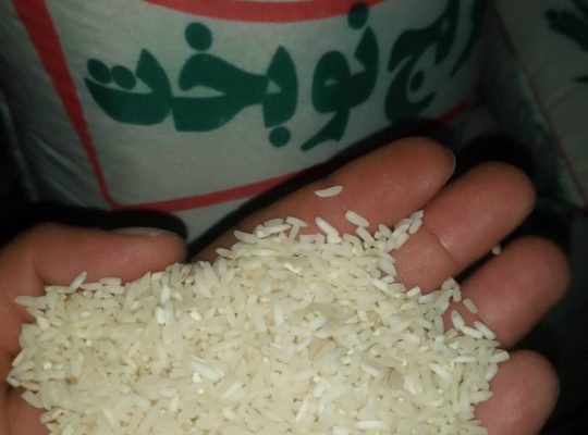 برنج فروشی فریدونکنار برنج در فریدونکنار