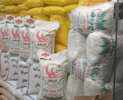برنج فروشی فریدونکنار برنج در فریدونکنار
