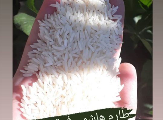 برنج فروشی فریدونکنار برنج در فریدونکنار