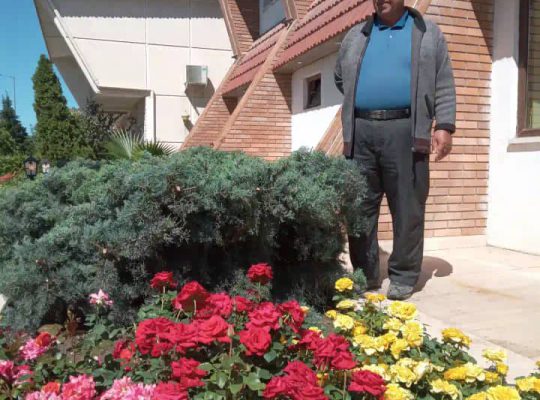 گل گیاه سرخ رود گل فروشی سرخ رود