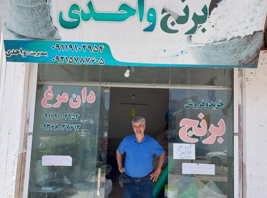 برنج فروشی بابلسر برنج در بابلسر