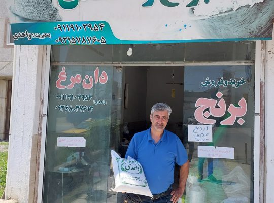 برنج فروشی بابلسر برنج در بابلسر