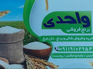 برنج فروشی بابلسر برنج در بابلسر