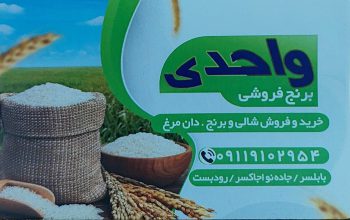 برنج فروشی بابلسر برنج در بابلسر