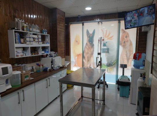 دامپزشکی بابلسر مطب دامپزشکی بابلسر