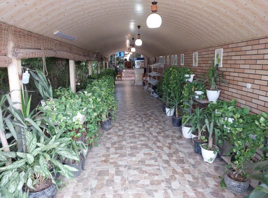 کبابی بابلسر کته کبابی بابلسر