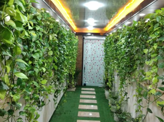 کبابی بابلسر کته کبابی بابلسر