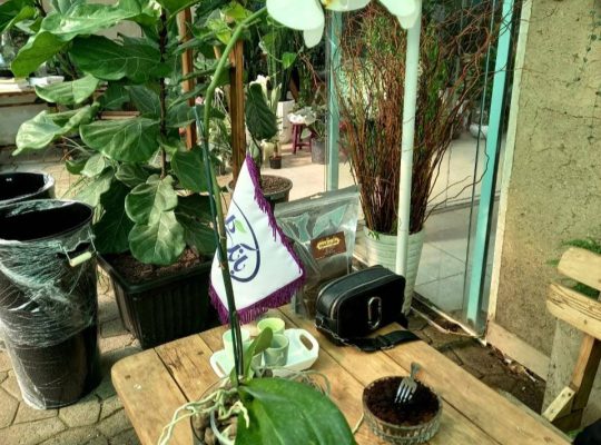 بهترین گل فروشی بابلسر گلخانه در بابلسر