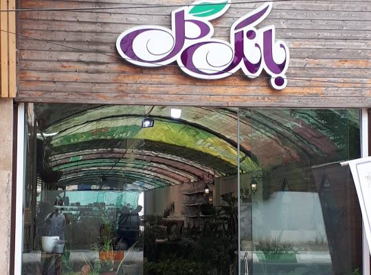 بهترین گل فروشی بابلسر گلخانه در بابلسر