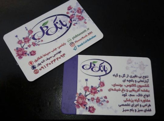 گل فروشی بابلسر گل در بابلسر