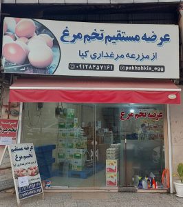 تخم مرغ مازندران تخم مرغ در مازندران